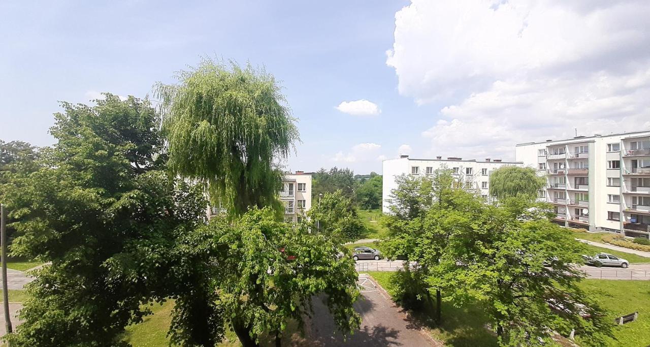 Bursztynowy Apartament Tarnowskie Góry Buitenkant foto