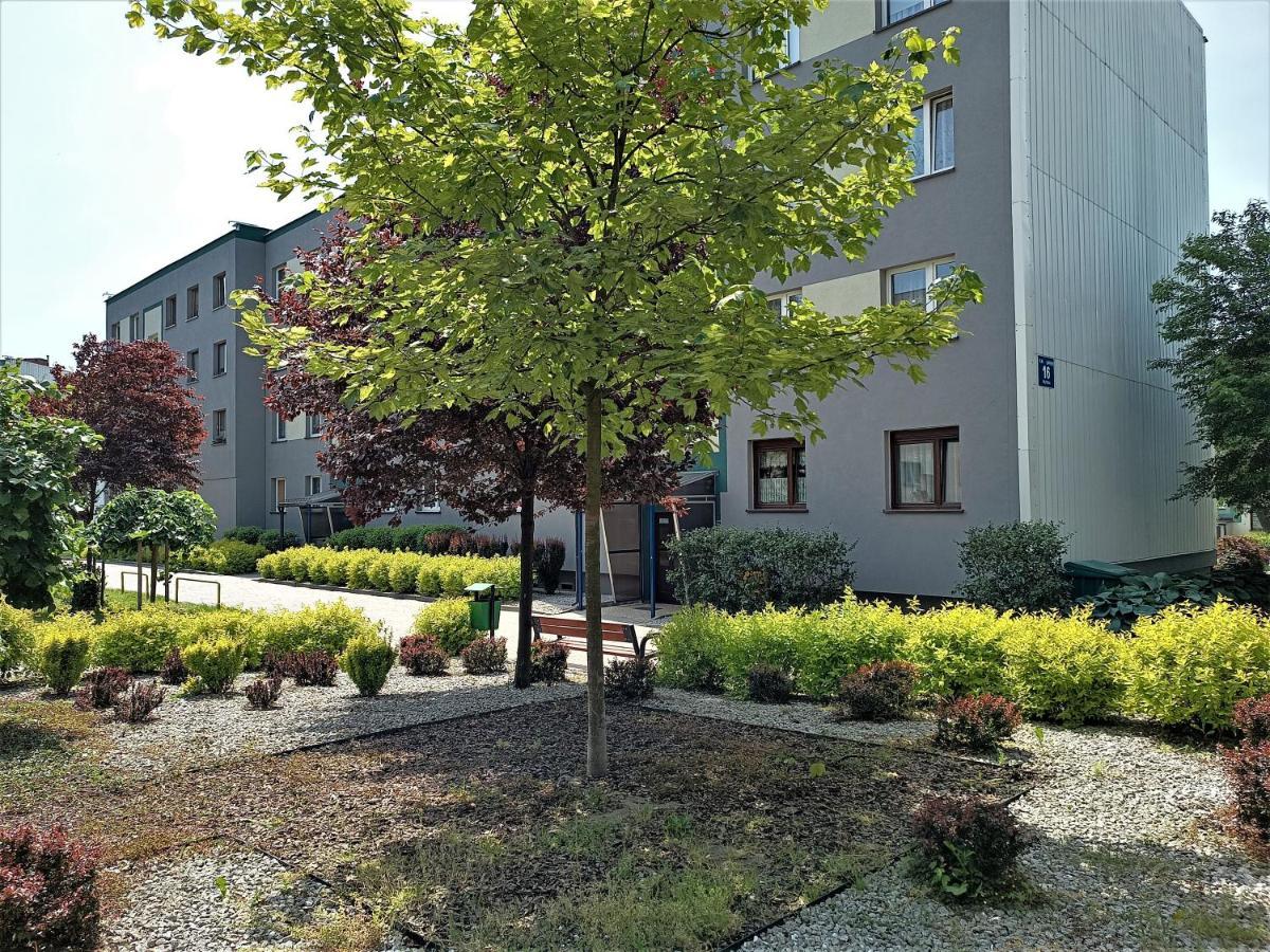 Bursztynowy Apartament Tarnowskie Góry Buitenkant foto