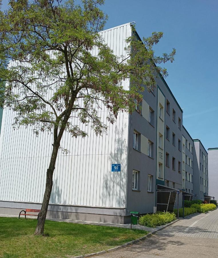 Bursztynowy Apartament Tarnowskie Góry Buitenkant foto
